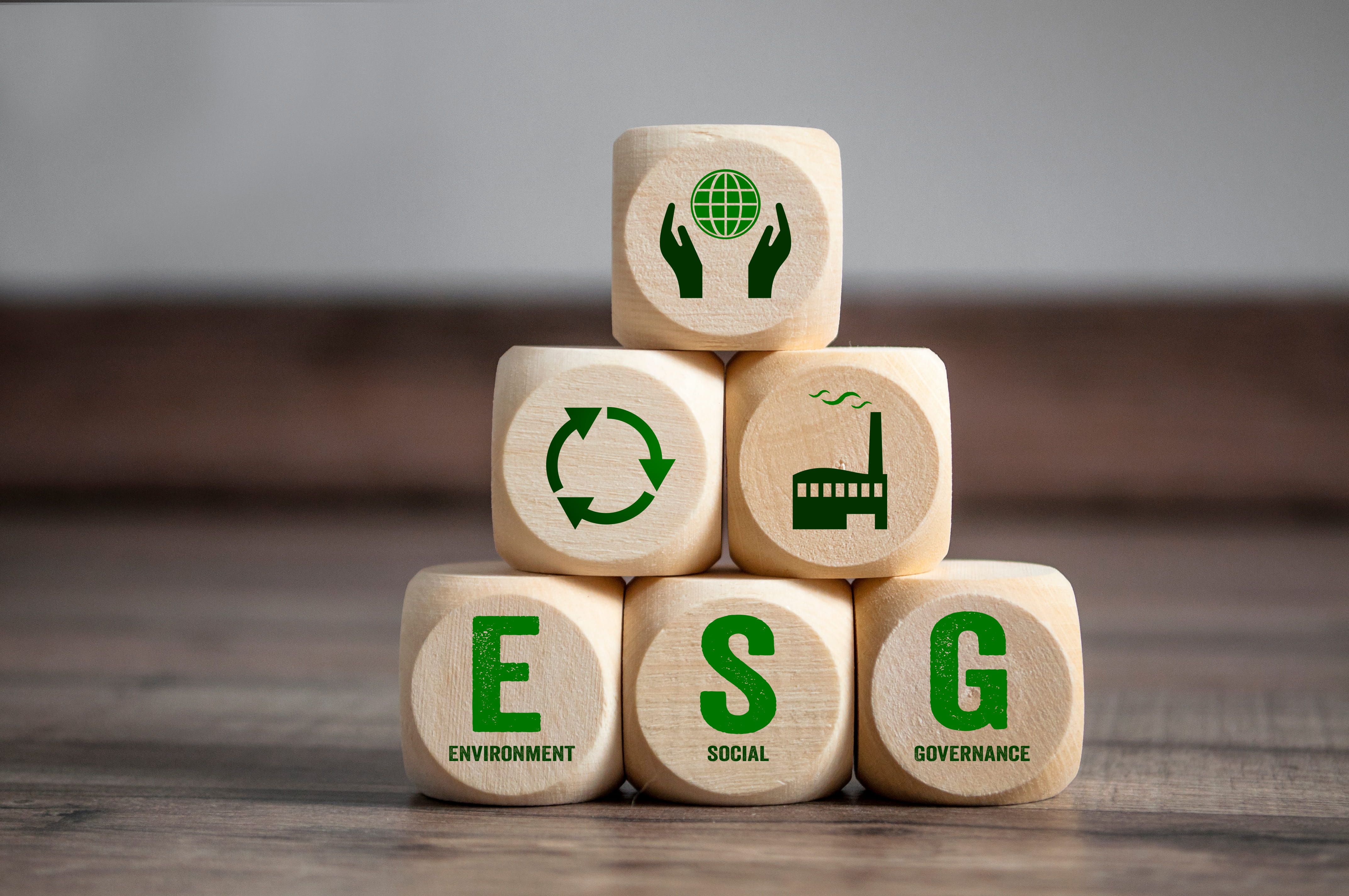 Sostenibilità e ESG: servizi su misura per le imprese